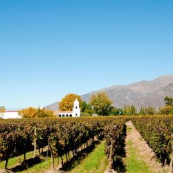 Cafayate Tourism House