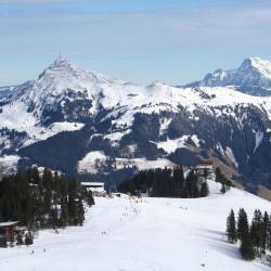 Skicircus Saalbach Hinterglemm Leogang Fieberbrunn Tourism House