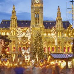 Vienna Christmas Market, Vienna Tourism House