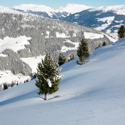 Zillertal Tourism House