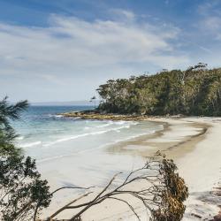 Jervis Bay Tourism House
