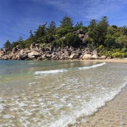 Magnetic Island Tourism House