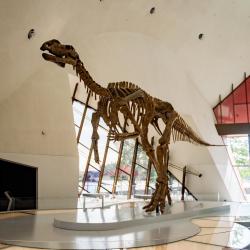 National Museum of Australia, Canberra Tourism House