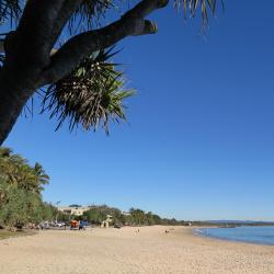 Noosa Tourism House