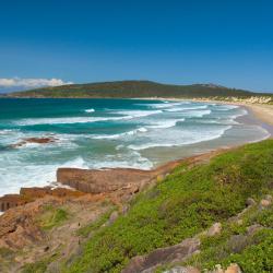 Port Stephens Tourism House