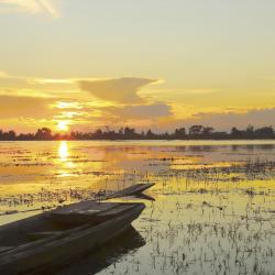 Pantanal Tourism House