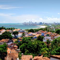 Recife Tourism House