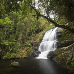 Serra da Bocaina National Park Tourism House