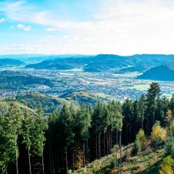 Black Forest Tourism House