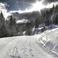 Feldberg Tourism House