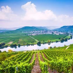 German Mosel Tourism House