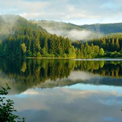 Harz Tourism House