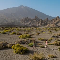 Canary Islands Tourism House