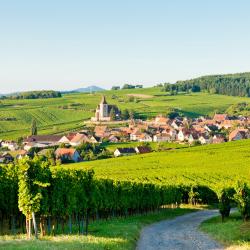 Alsace Tourism House