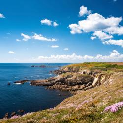 Brittany Tourism House
