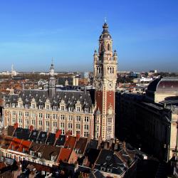 Lille Tourism House