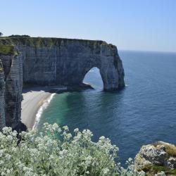Normandy Tourism House