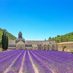 Provence Tourism House