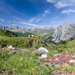 Pyrénées Tourism House