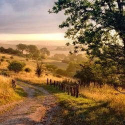 Hertfordshire Tourism House