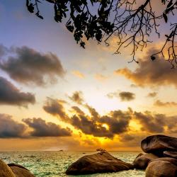 Bintan Tourism House