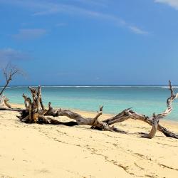 Gili Trawangan Tourism House