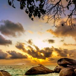 Pulau Bintan Tourism House