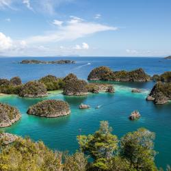 Raja Ampat Tourism House