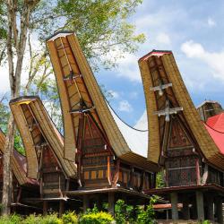 Sulawesi Tourism House
