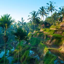 Ubud Tourism House