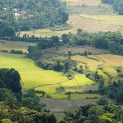 Coorg Tourism House