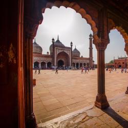 Delhi NCR Tourism House