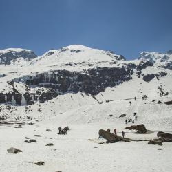 Sikkim Tourism House