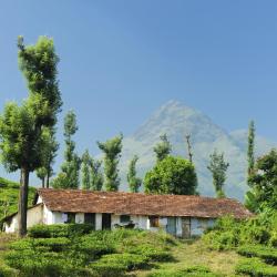Wayanad Tourism House