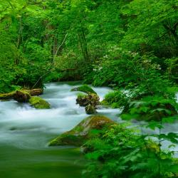 Aomori Tourism House