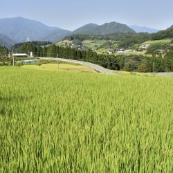 Miyazaki Tourism House