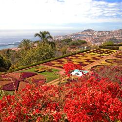 Funchal Tourism House