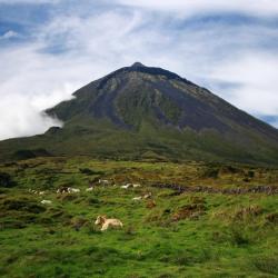 Pico island Tourism House