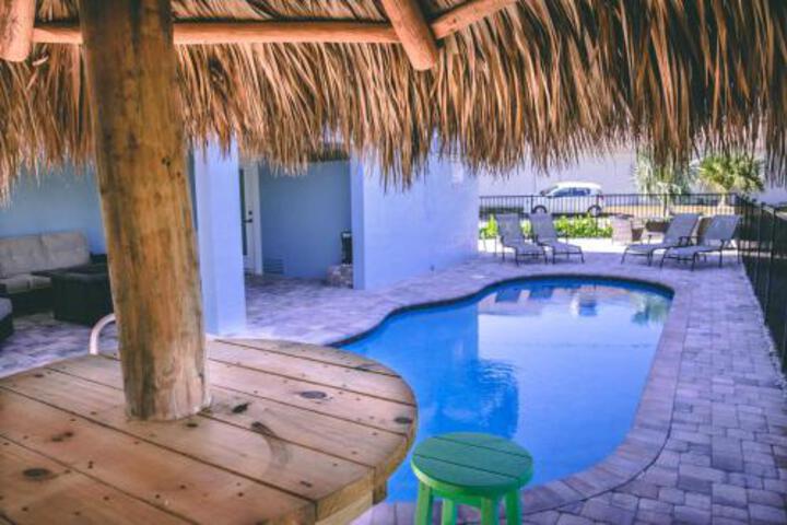 The Seahorse - thumb 6