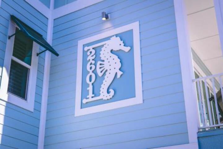 The Seahorse - thumb 1