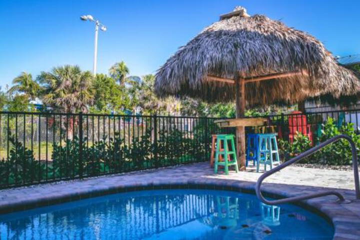 The Seahorse - thumb 2