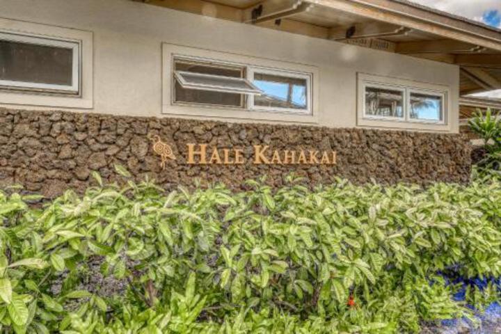 Kolea Kai 16D - thumb 1