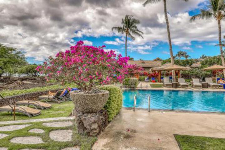 Kolea Kai 16D - thumb 5