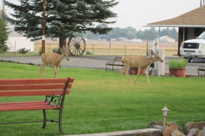 Rim Rock Motel - thumb 0