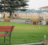 Rim Rock Motel - Tourism House