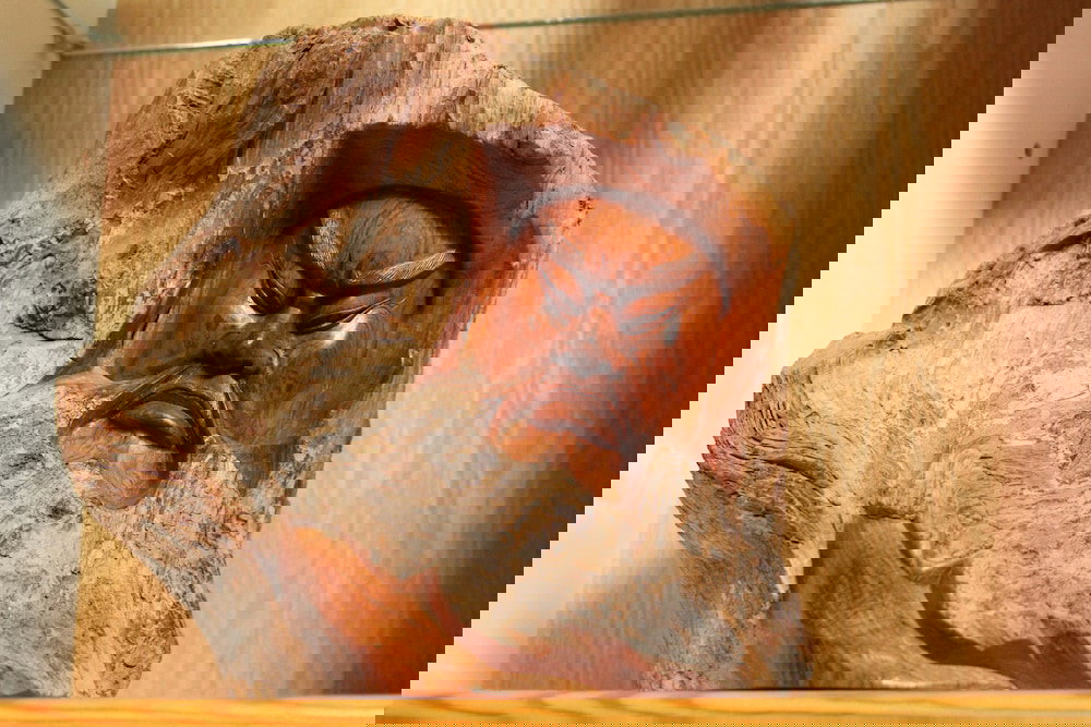 Good Karma Inn - thumb 6