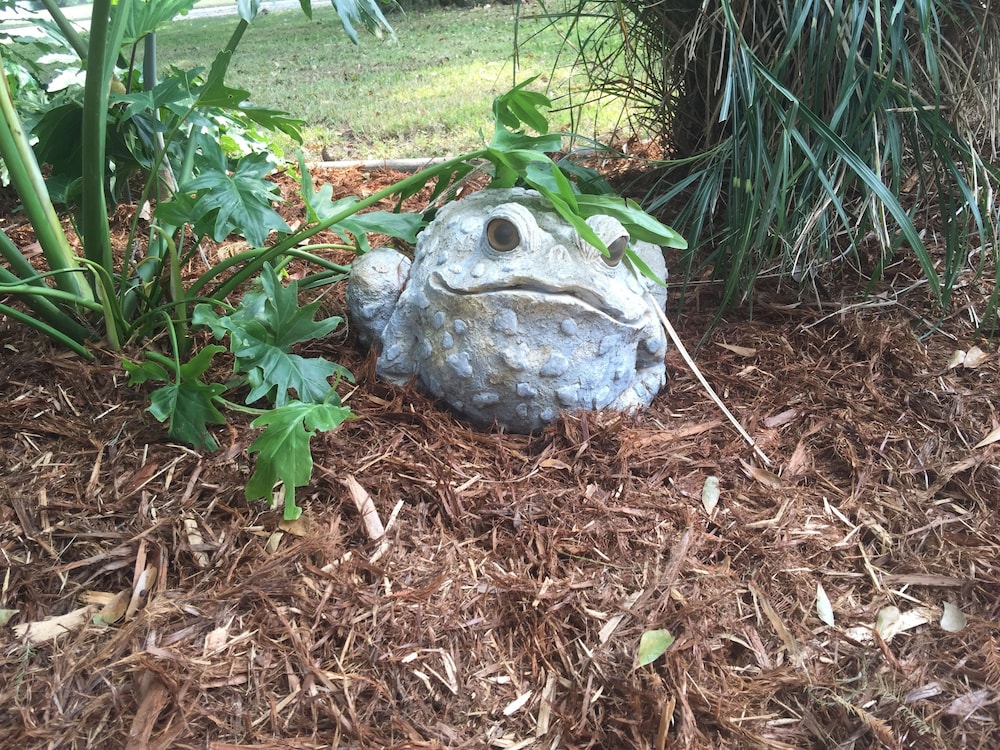 Louisiana Cajun Mansion - thumb 1