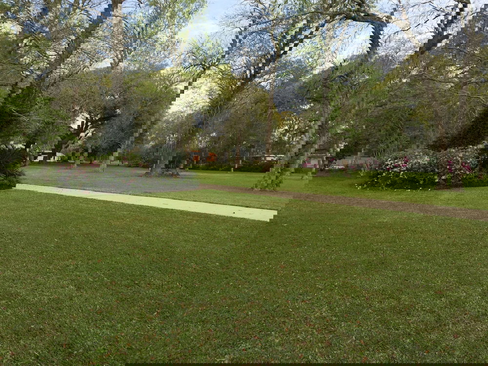 Louisiana Cajun Mansion - thumb 3