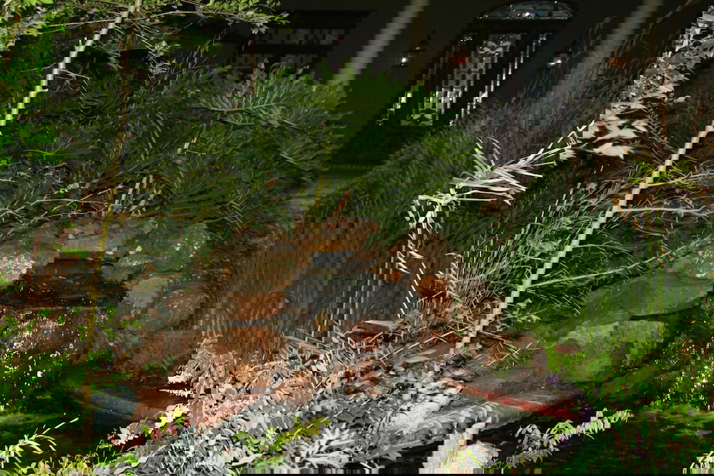 Louisiana Cajun Mansion - thumb 0