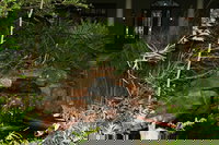 Youngsville La Tourism House